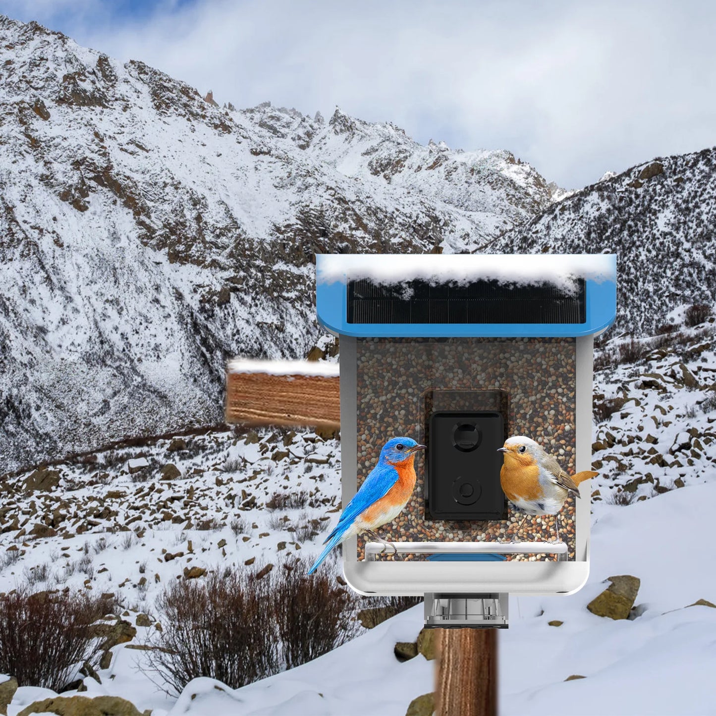 New Bird Feeder With Camera Bird Feeders House With Wireless WiFi Bird Camera 1080p For Outdoor Bird Watching Bird Feeder Aves