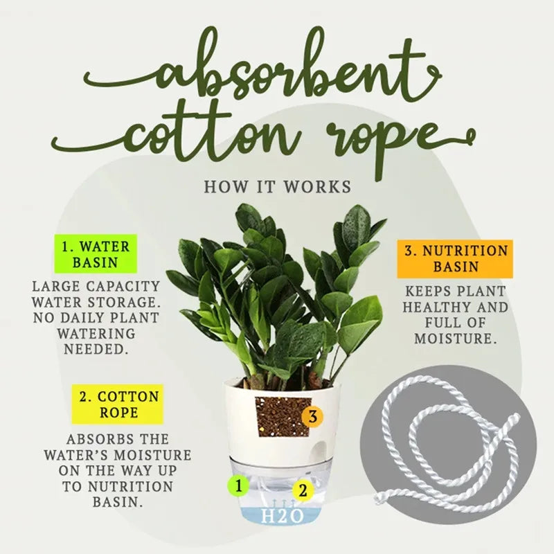 Self-Watering Hydroponic Plant Pot