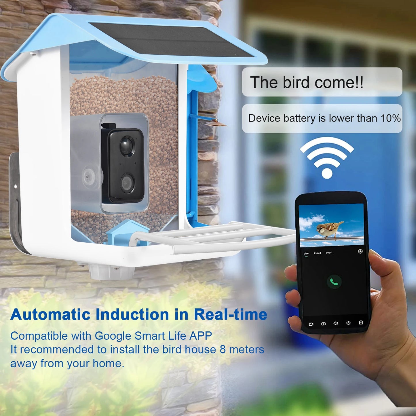 New Bird Feeder With Camera Bird Feeders House With Wireless WiFi Bird Camera 1080p For Outdoor Bird Watching Bird Feeder Aves