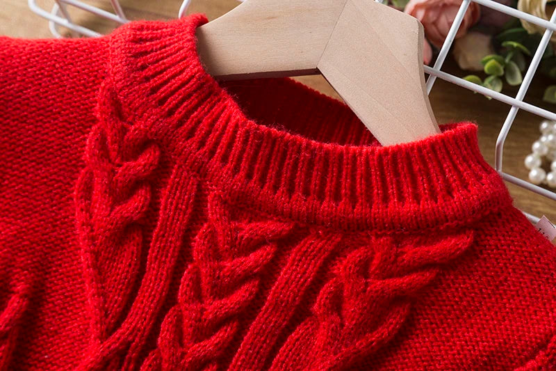 Close-up of a red cable-knit sweater on a wooden hanger. The sweater features a ribbed collar and intricate braided patterns, displayed against a wire rack and flowers in the background.