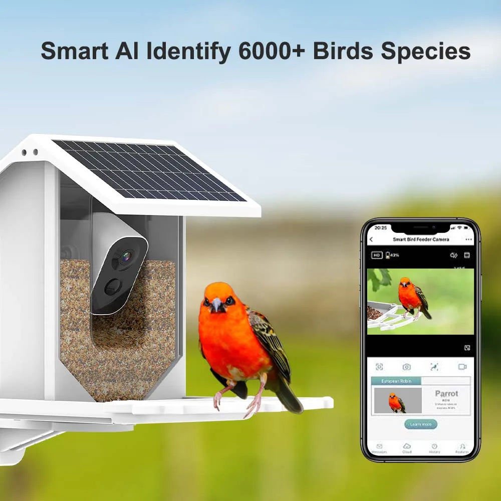 Wireless Solar Bird Feeder With Camera Outdoor Auto Capture 1080P Bird Feeders House With Cameras AI-Smart Identify Bird Species