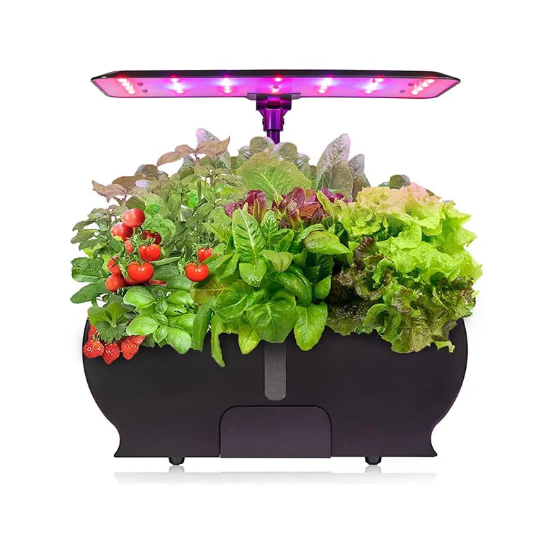 Indoor garden system with fresh herbs, lettuce, strawberries, and tomatoes under a rectangular LED grow light, housed in a sleek black planter box.