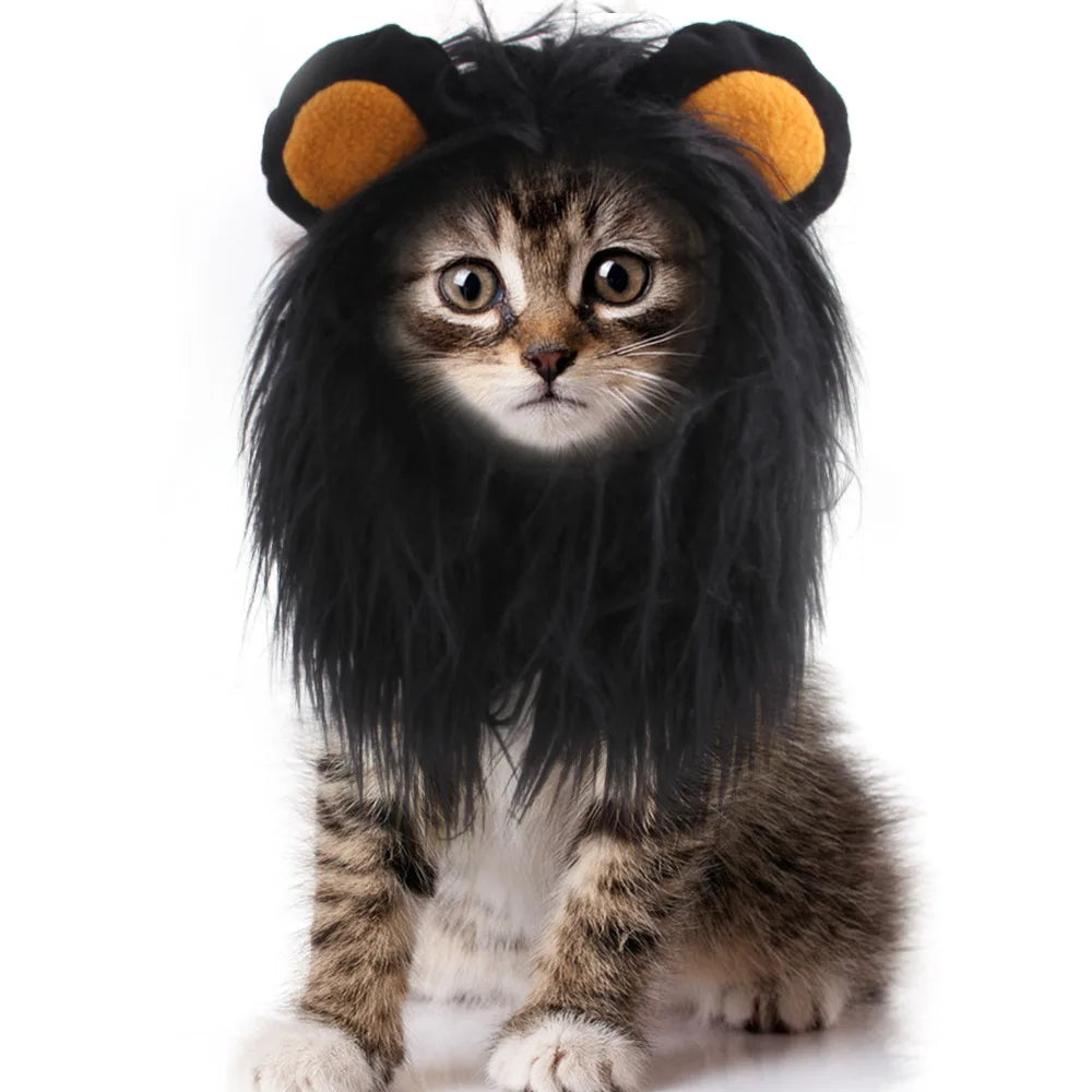 Tabby kitten wearing a black lion mane costume with orange ears, sitting against a plain white background, looking directly at the camera with wide eyes.