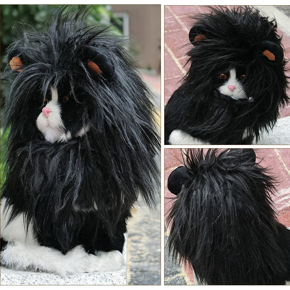 A fluffy black and white cat with a thick mane resembling a lion. The collage shows different angles: front, side, and back view, highlighting its long fur.