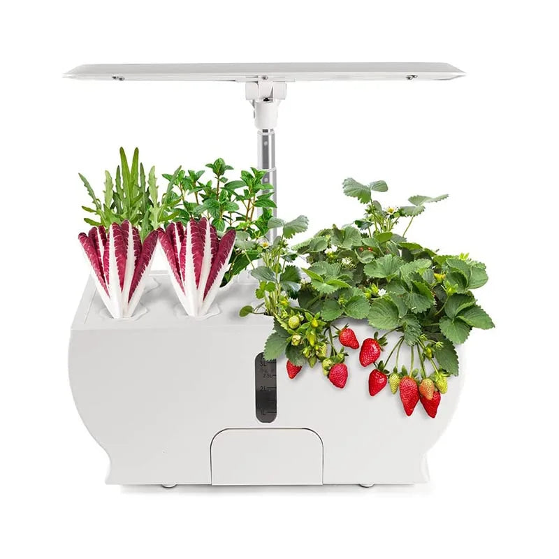Indoor hydroponic garden with a white base and adjustable LED light, growing fresh strawberries, green herbs, and red leafy greens, showcasing a compact and efficient design.