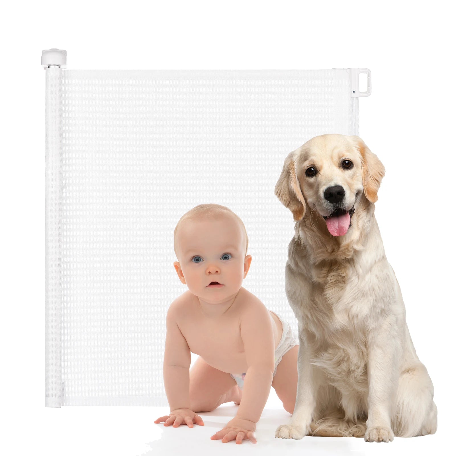 A baby in a diaper crawls next to a sitting golden retriever. They are in front of a white safety gate, both looking forward with curious expressions.