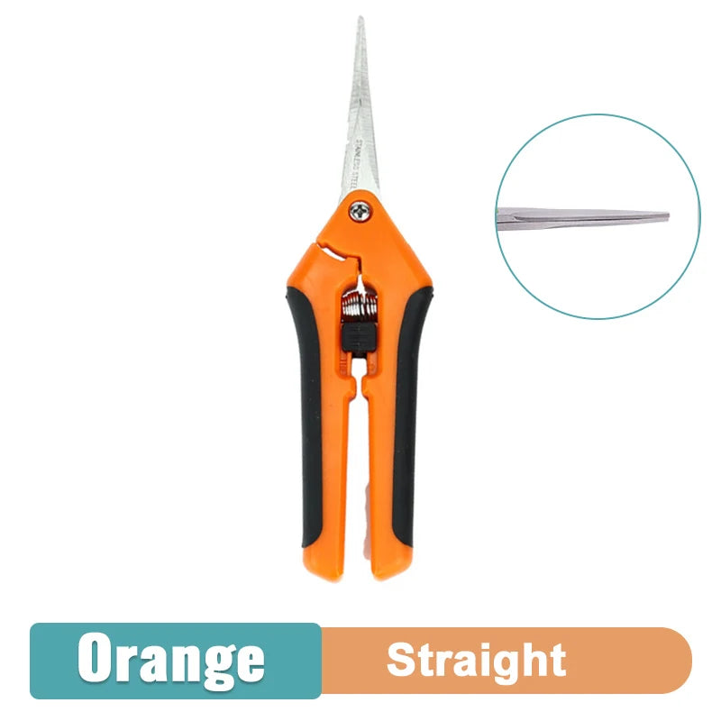 Orange-handled garden shears with straight, pointed blades. Close-up inset of blade tips. Text reads "Orange Straight" below the shears, indicating the handle color and blade type.