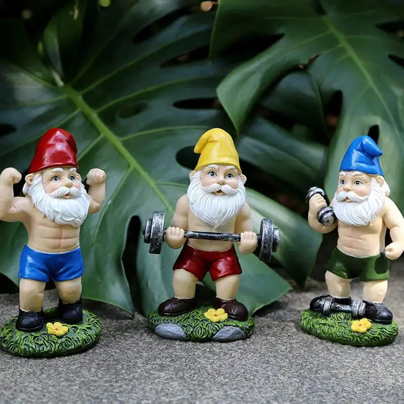 Three bearded garden gnomes in colorful hats exercise with dumbbells. One flexes, another lifts a barbell, and the third curls a dumbbell amid large green leaves.