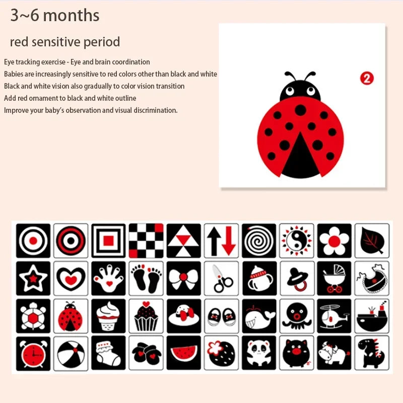Infant visual development cards for ages 3-6 months, featuring red, black, and white designs. Includes symbols like a ladybug and patterns to enhance eye coordination and color transition.