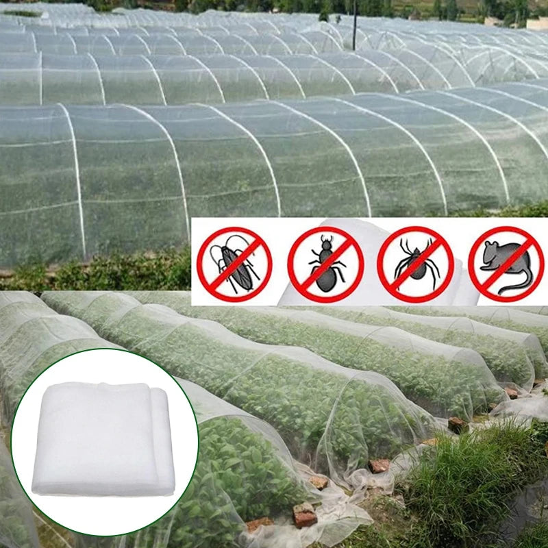 Greenhouses covered with white nets protect plants. Inset shows white fabric and red no-entry signs for insects and rodents, illustrating pest control.