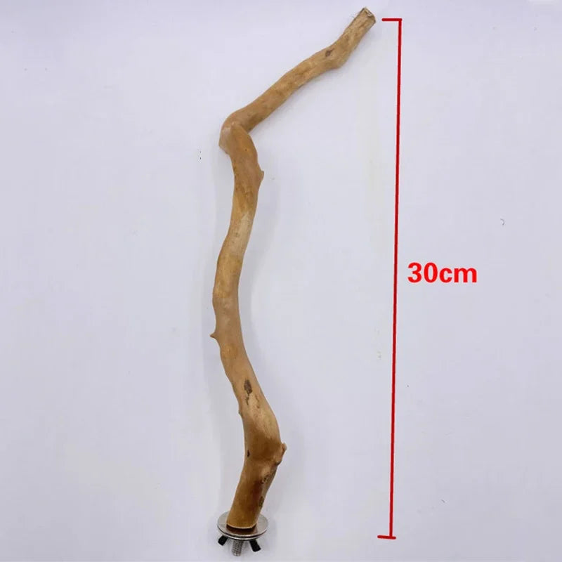 Natural Parrot Perch Bird Stand Tree Stick
