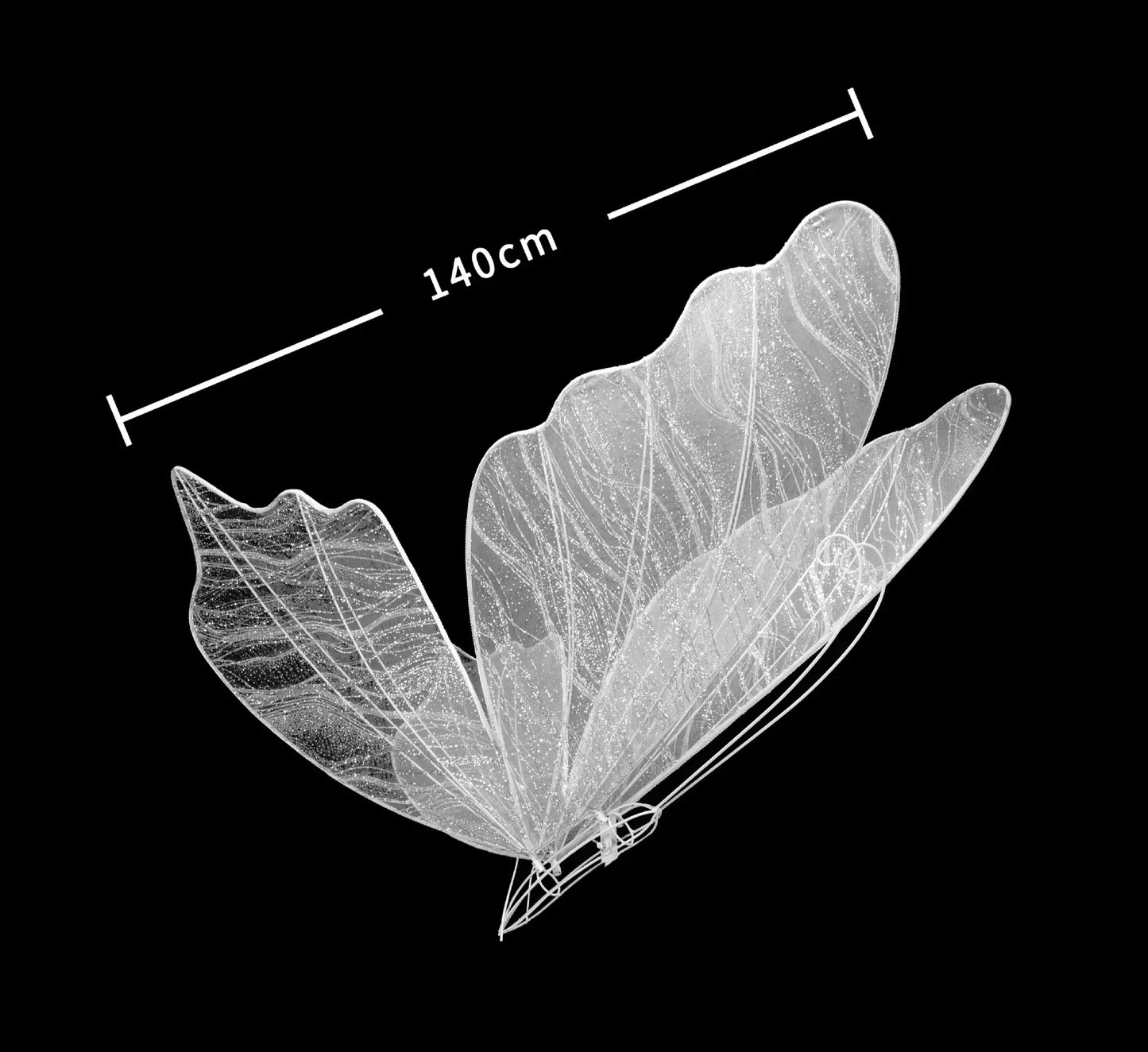 X-ray image of a large butterfly with transparent, textured wings, showing a wingspan of 140 cm. The delicate structures are detailed against a black background.