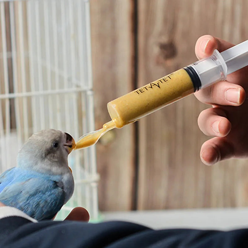 A blue and gray bird is being hand-fed with a syringe containing yellow food. The person holds the bird gently near a white cage against a wooden background.
