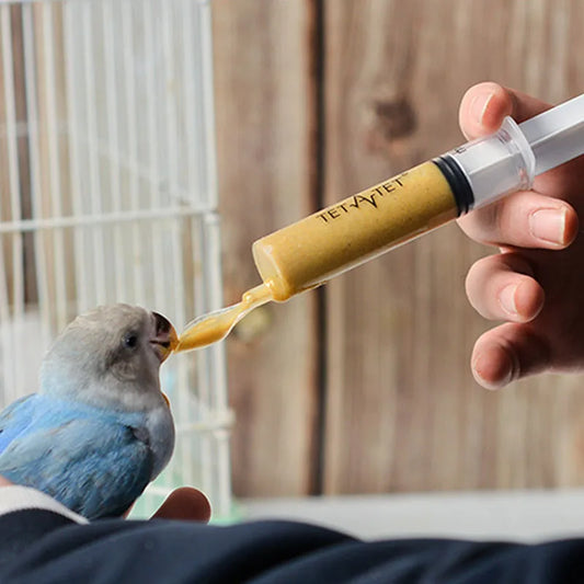 A blue and gray bird is being hand-fed with a syringe containing yellow food. The person holds the bird gently near a white cage against a wooden background.