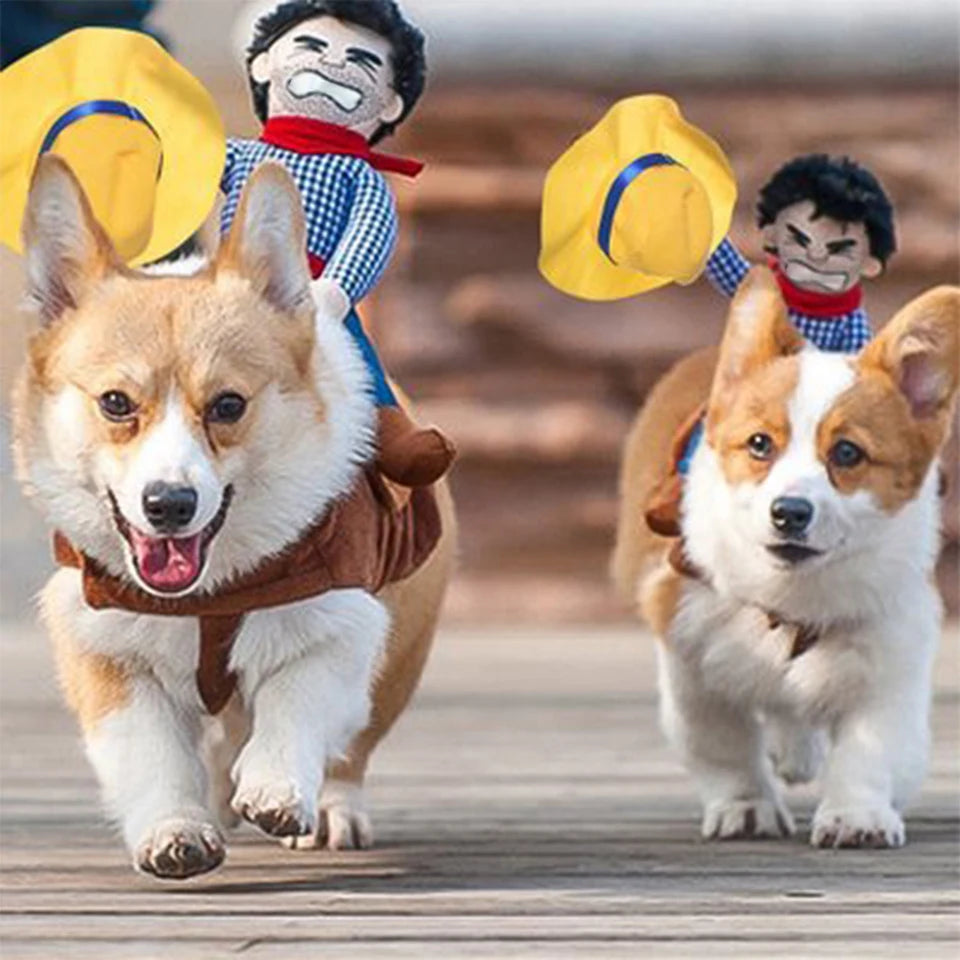 Two Corgis run playfully on a wooden path, each wearing a cowboy costume with a toy cowboy figure holding a yellow hat, creating a playful western theme.
