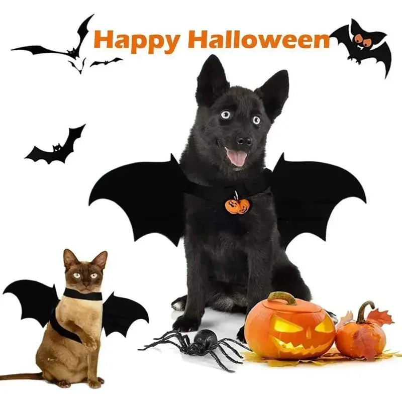 Dog and cat wearing bat costumes with pumpkins and a spider on the ground. Bats and "Happy Halloween" text in the background.