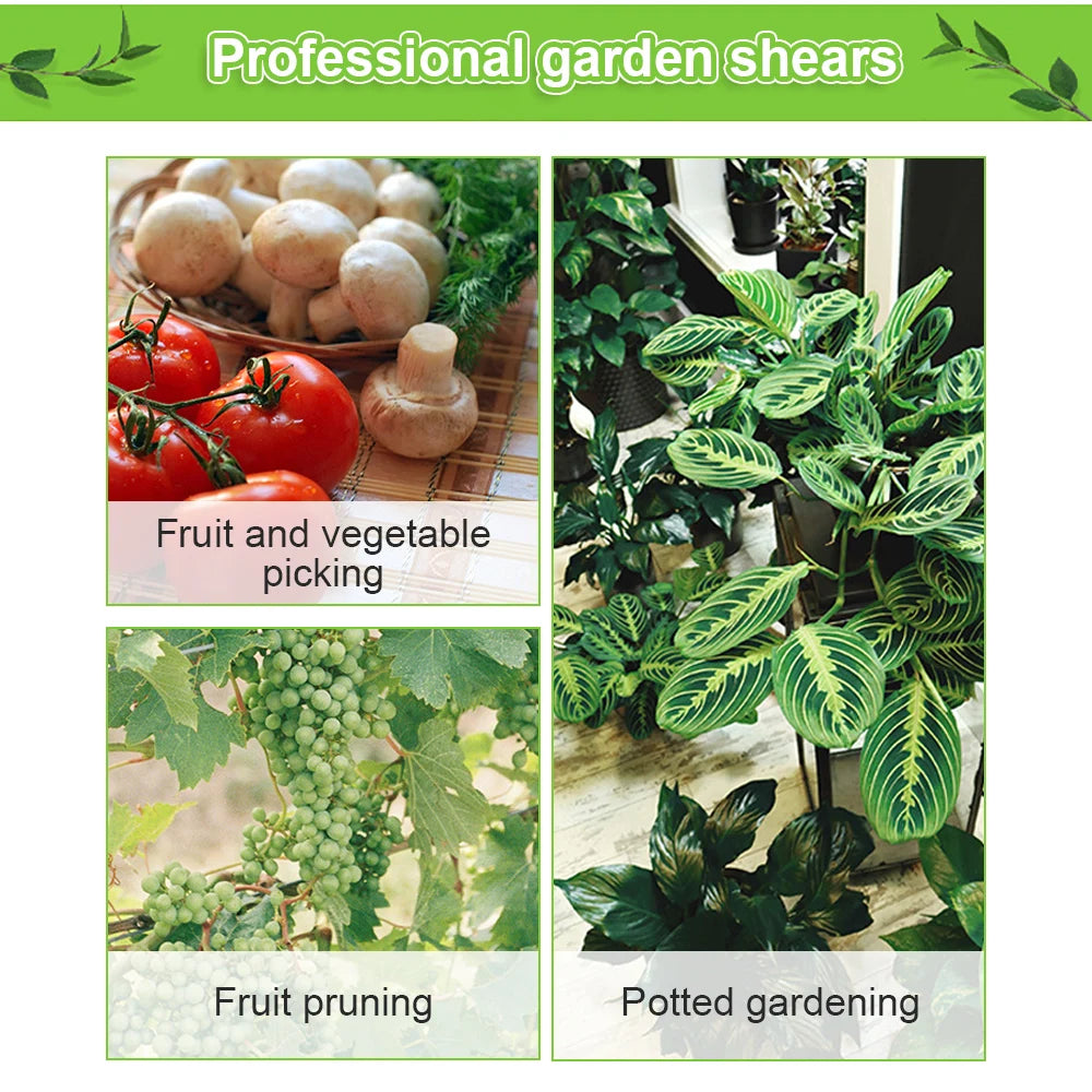 Collage of gardening activities. Top left shows tomatoes and mushrooms labeled "Fruit and vegetable picking." Bottom left shows grapes labeled "Fruit pruning." Right shows houseplants labeled "Potted gardening."