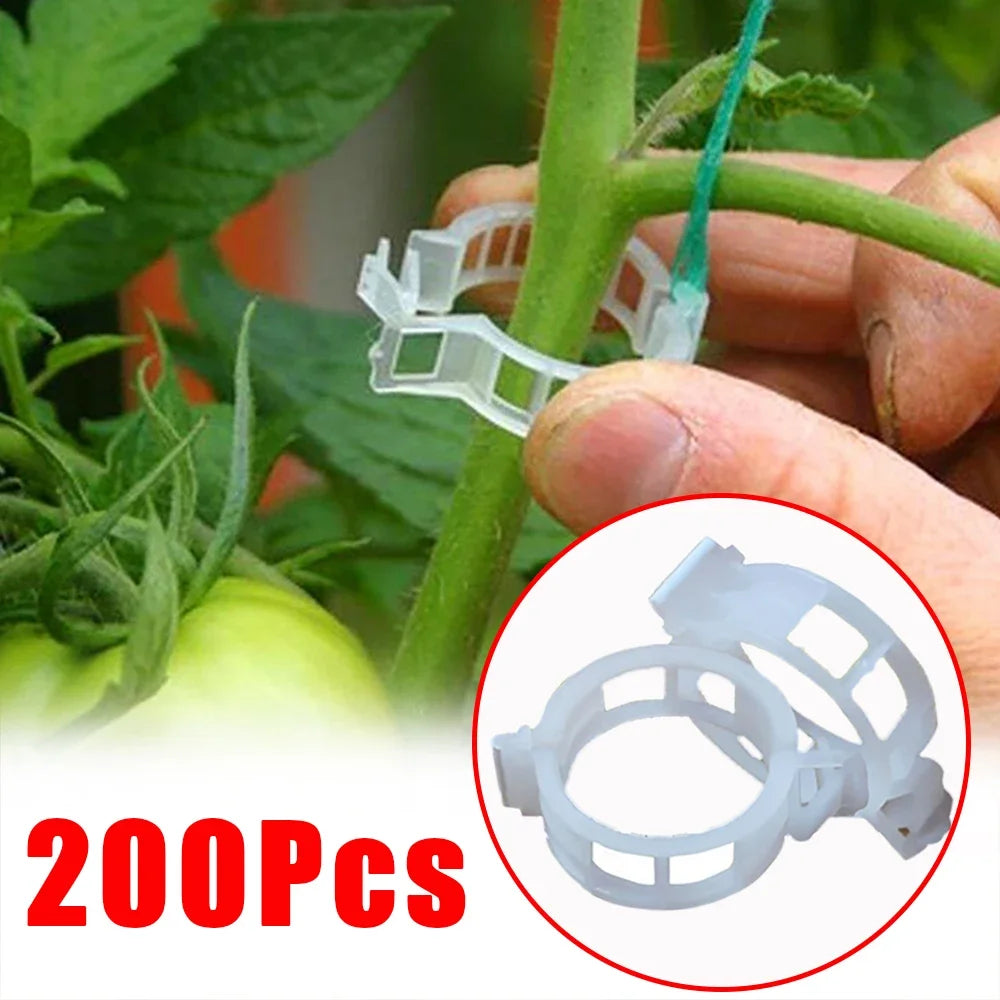 Plastic plant clips are used to secure a tomato stem to a support. A close-up inset shows a stack of similar clips. Text reads "200 Pcs."