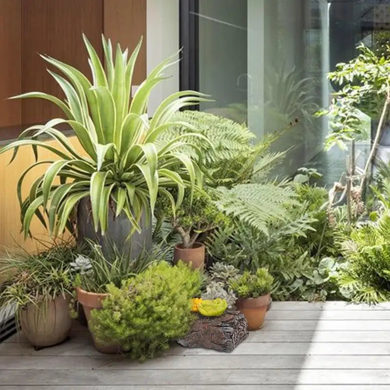 A lush indoor garden with various potted plants, ferns, and succulents on a wooden floor next to a large glass window, allowing natural light to illuminate the greenery.