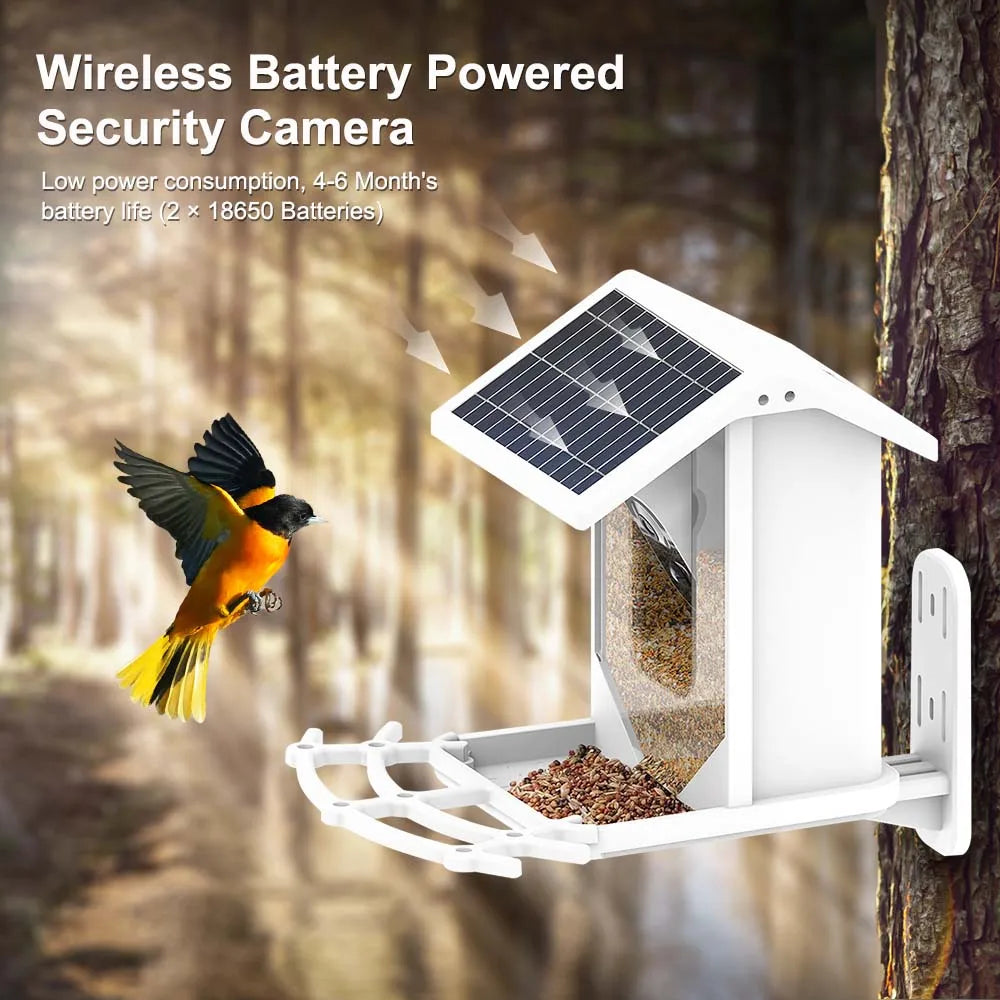 Wireless Solar Bird Feeder With Camera Outdoor Auto Capture 1080P Bird Feeders House With Cameras AI-Smart Identify Bird Species