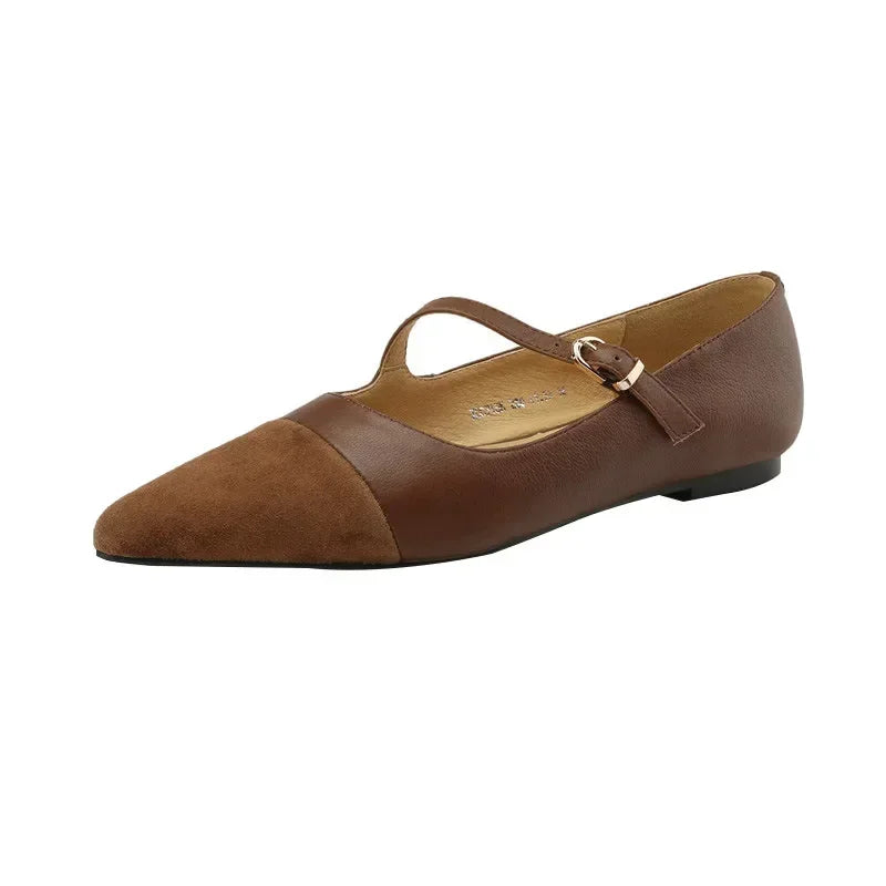Brown leather flat shoe with a pointed toe and suede cap. Features an adjustable strap across the top and a low, flat heel, displayed against a white background.