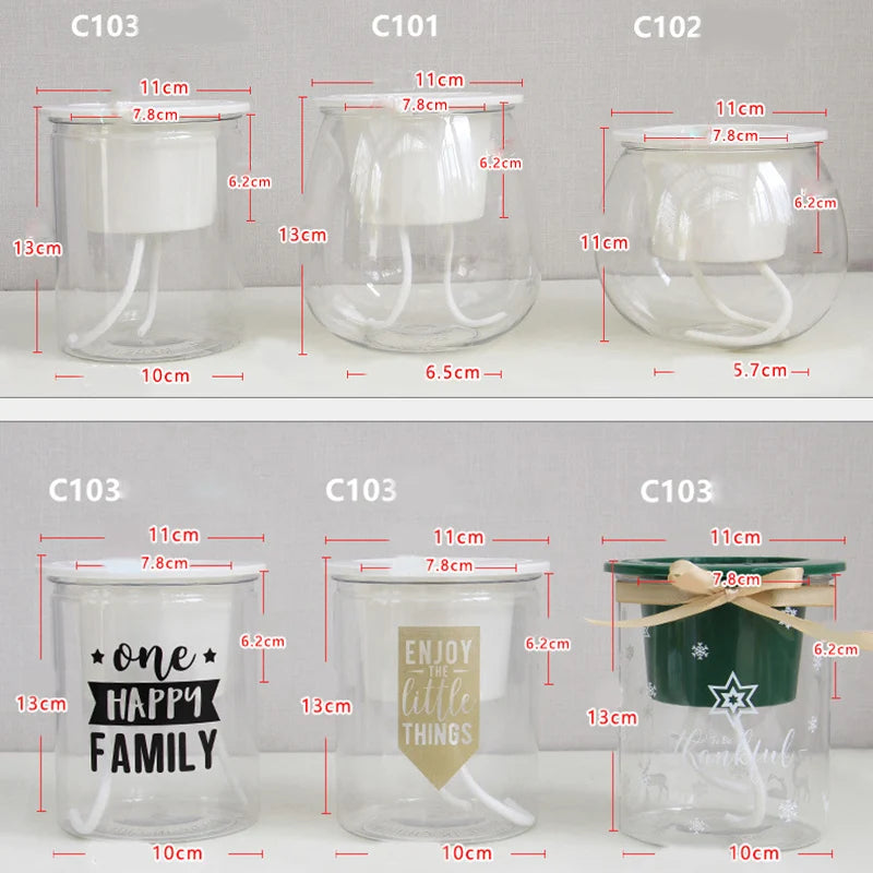 Self-Watering Transparent Flower Pot