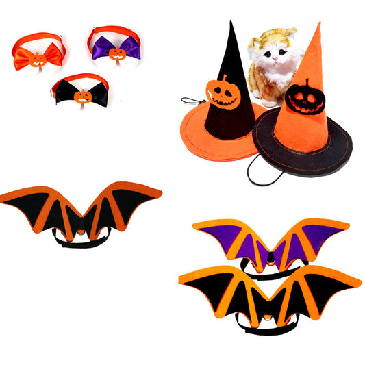 Halloween-themed pet accessories, including witch hats with pumpkin designs, orange bat wings, and collars with orange and purple bows. A fluffy cat sits beside the hats.