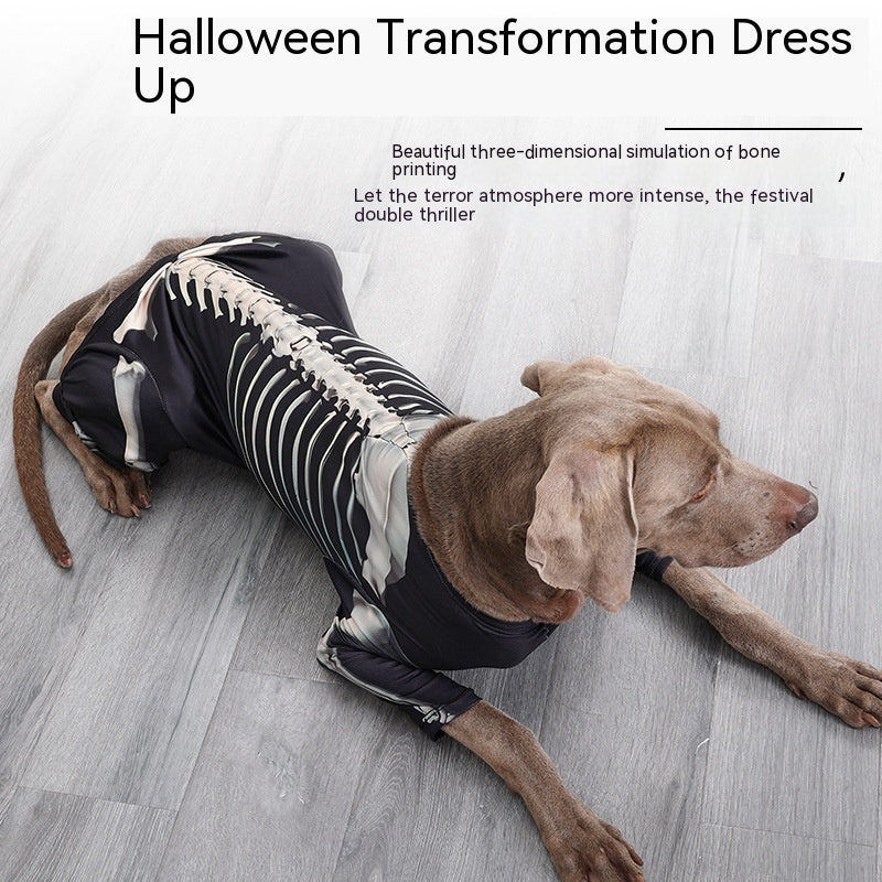 Brown dog wearing a black Halloween costume featuring a white skeleton print, lying on a light gray wooden floor. Text reads: "Halloween Transformation Dress Up."