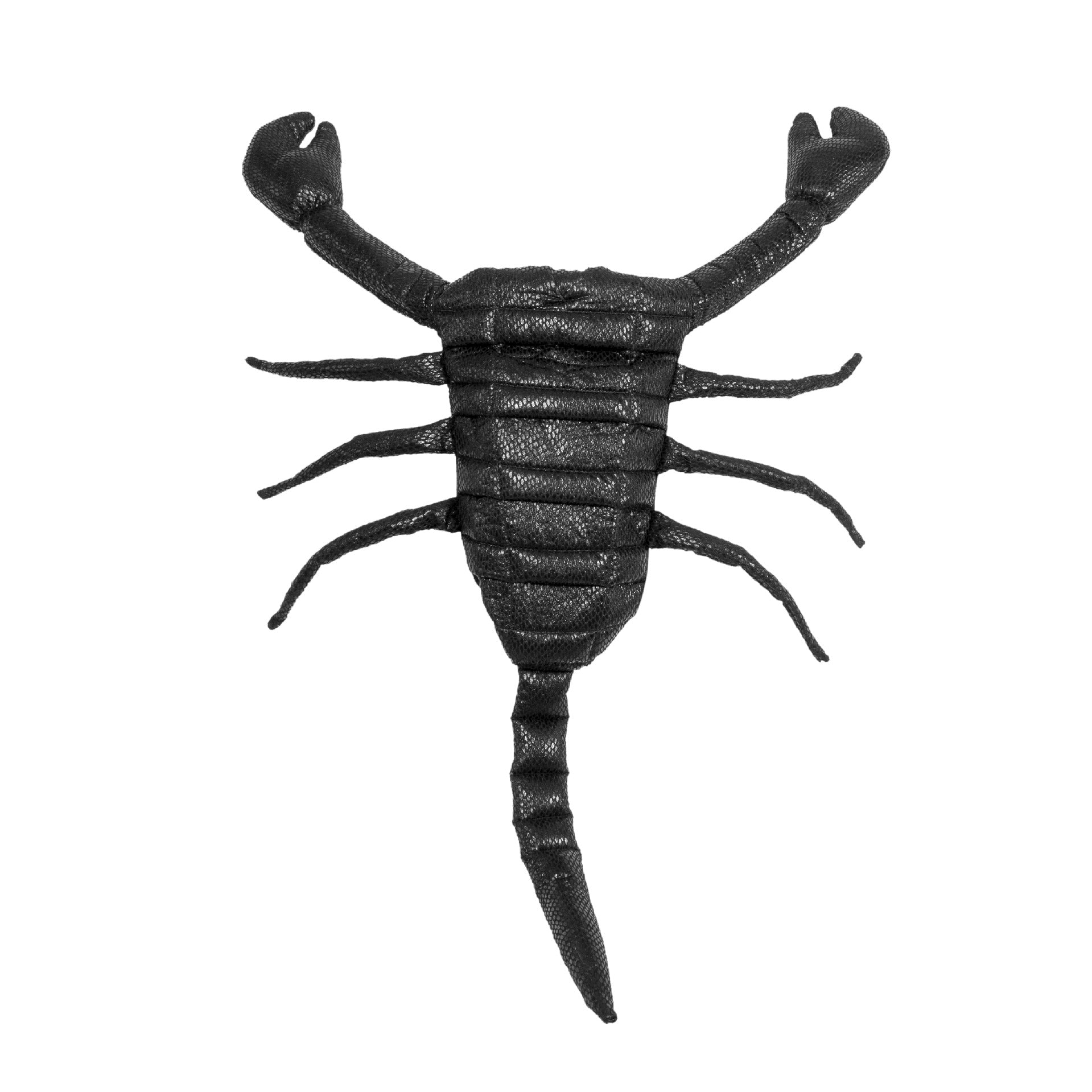 Black scorpion with raised pincers and segmented tail, isolated on a white background.