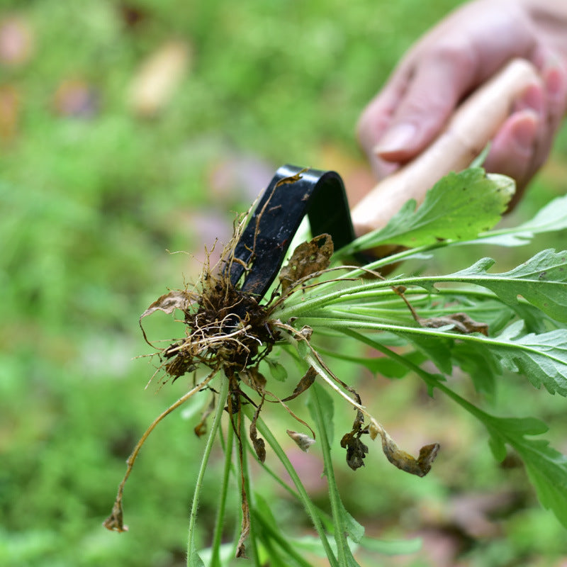 A hand holds a gardening tool, uprooting a weed with green leaves and exposed roots. The background is a blurred view of grass, highlighting the gardening task.