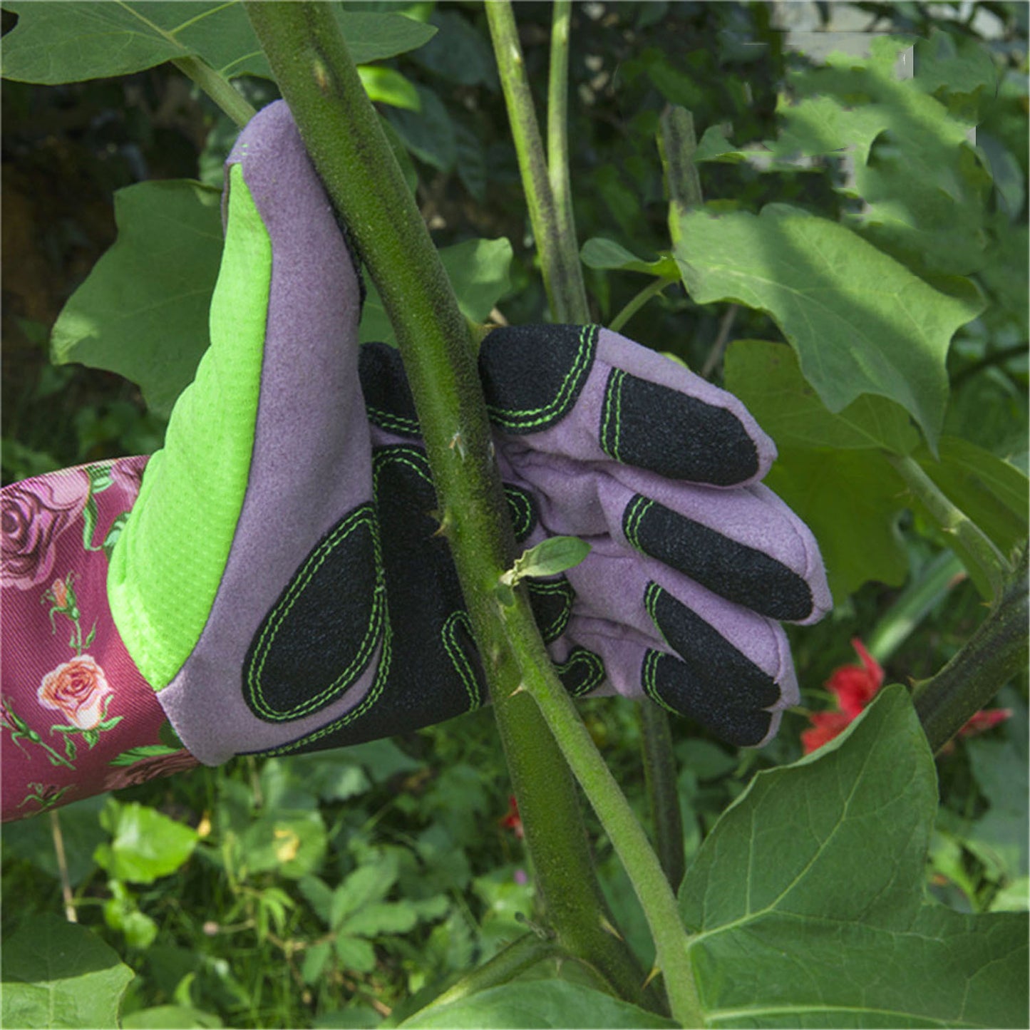 A hand wearing purple and green gardening gloves with floral accents grips a green plant stem surrounded by lush leaves in a garden setting.