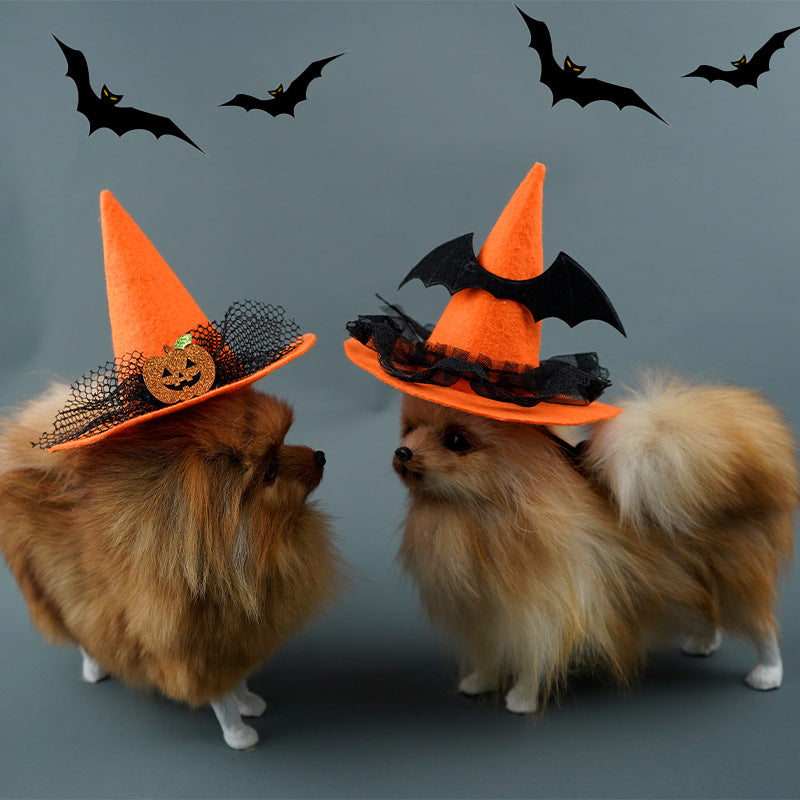 Two fluffy dogs wearing orange witch hats, one with a pumpkin, the other with a bat, surrounded by flying black bats on a gray background. Halloween-themed.