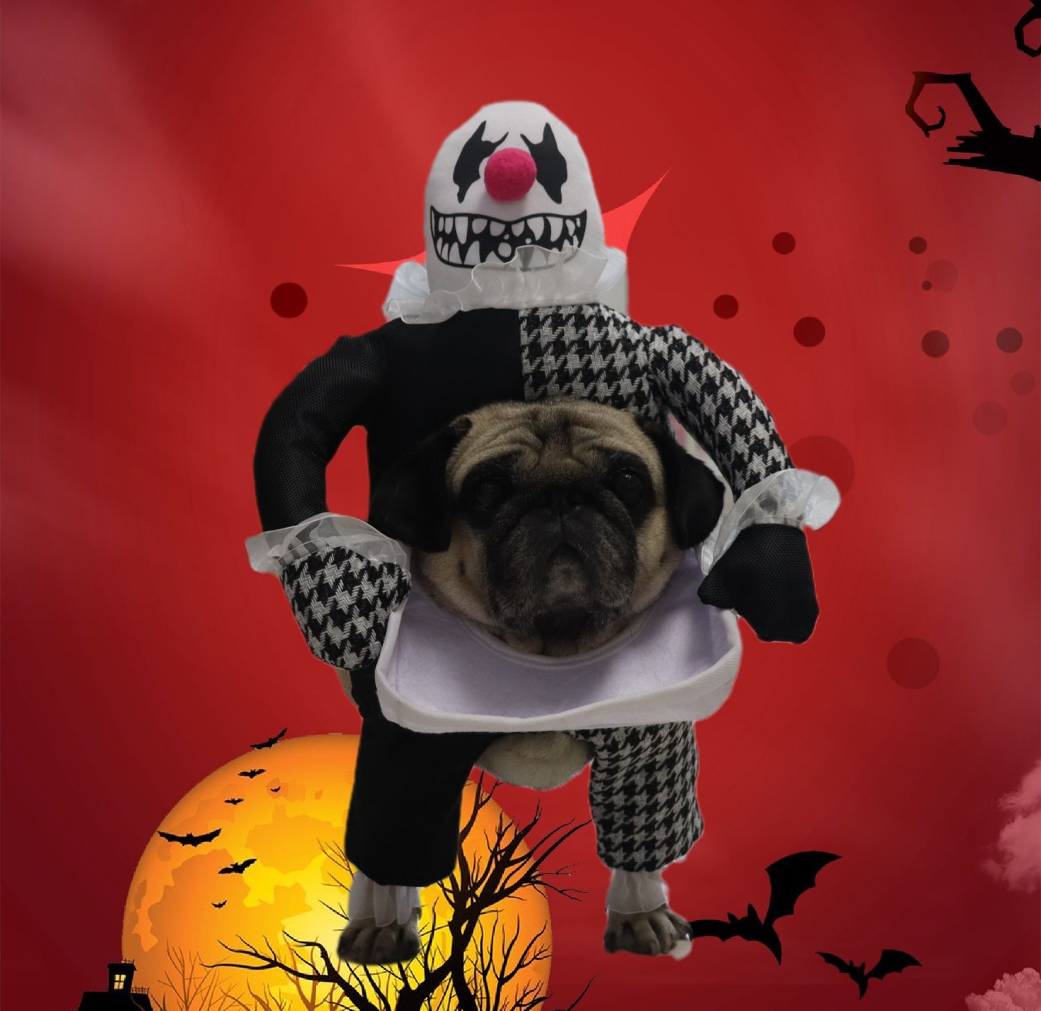Pug dressed in a clown costume with a spooky face, set against a red Halloween backdrop featuring bats, a large moon, and trees, creating a whimsical and eerie scene.