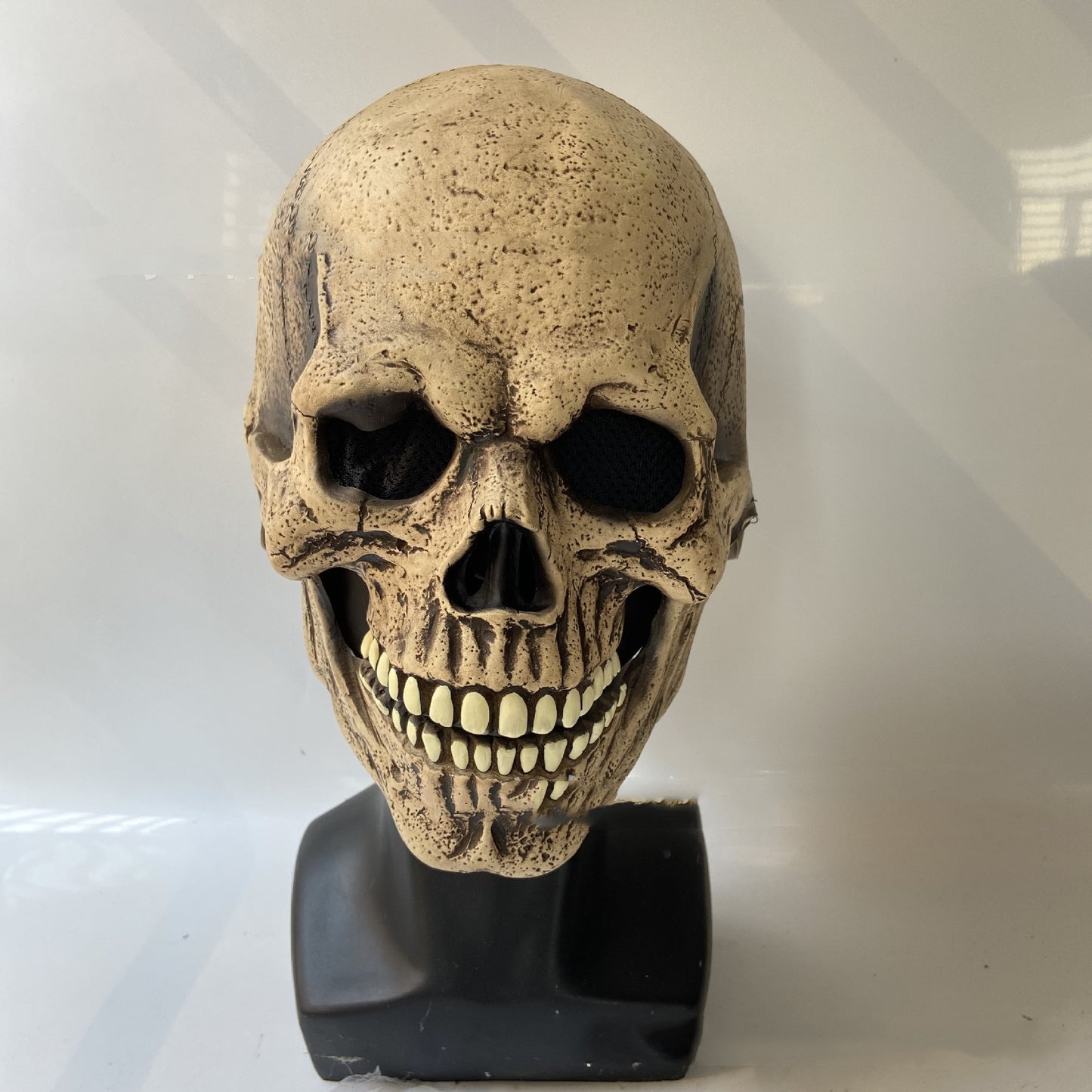 A detailed, realistic skull sculpture with prominent teeth and a textured surface, displayed on a black stand against a neutral background.